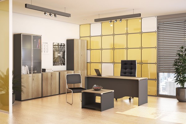 Ντουλάπα γραφείου με γυάλινες πόρτες Lotus pakoworld χρώμα φυσικό - ανθρακί 80x40x200εκ